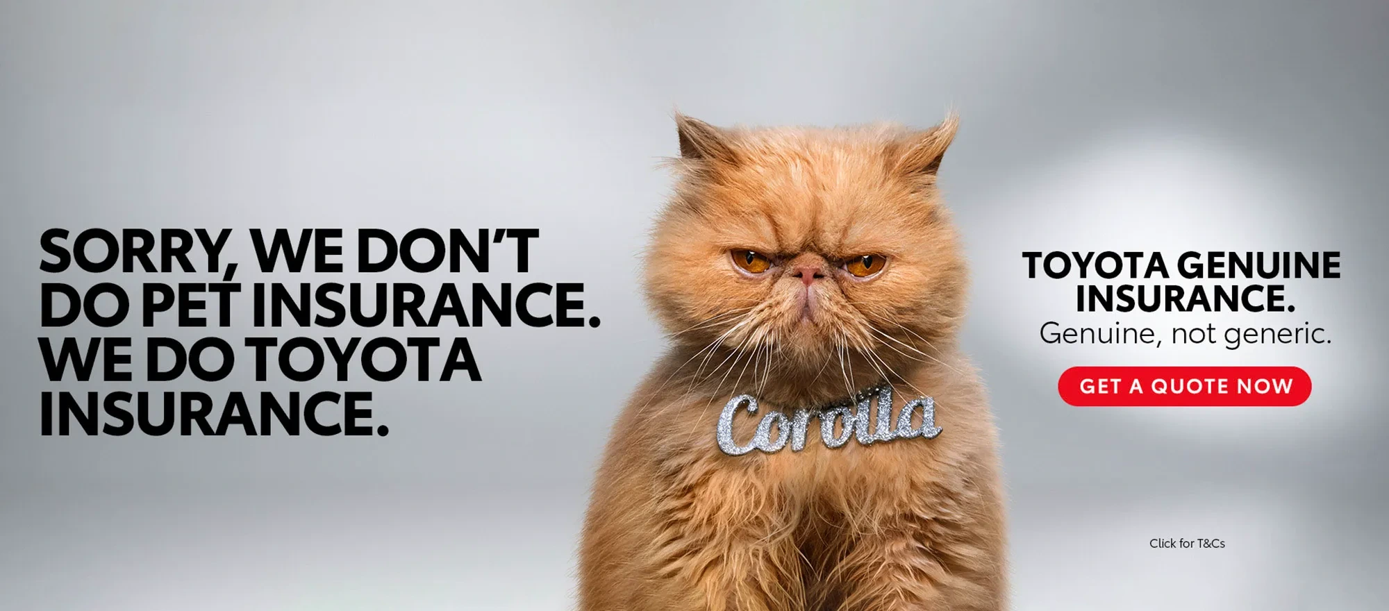 Hp Insurance